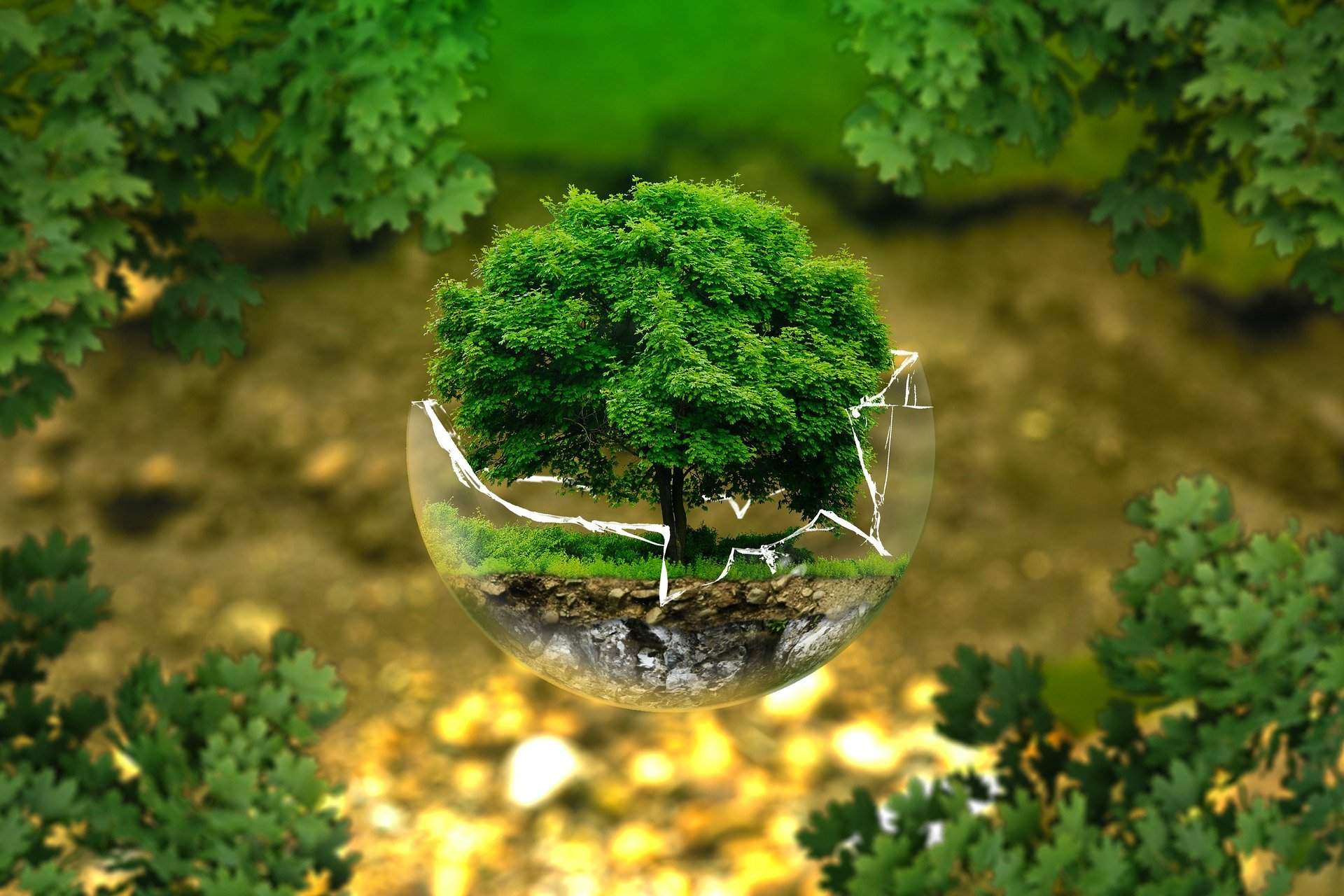 Faire de la commande publique un moteur de la transition écologique et sociale