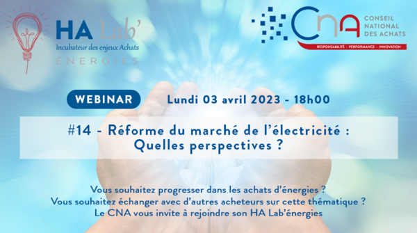 HA Lab' Énergies N°14 | Réforme du marché de l’électricité :  Quelles perspectives ?