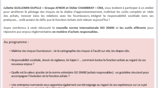 Identification et maîtrise des Risques Fournisseurs : les pratiques indispensables de la fonction Achats